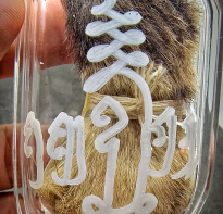 Blessing buddha Loket HM Skn with Fat Oil HM skin blessing ajhan tien nong 2019