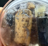 Blessing buddha Paneng Atas Khun Paen 3 Spirit Blesssing Ajhan TOM