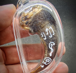 BlessingBuddha.Com kruelang wild berr by ajhan tien nong 2019